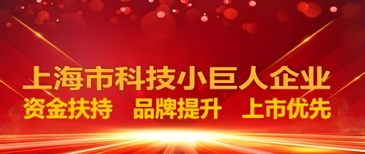 上海市2024年度“科技创新行动计划”科技小巨人工程项目申报通知